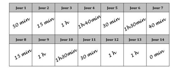 Calendrier de pratique sportive sur 14 jours Calendrier de pratique sportive sur 14 jours