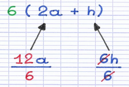 Factorisation d’une expression littérale par un diviseur commun