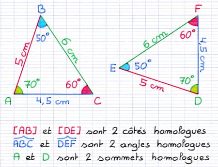 2 triangles égaux dont les côtés, angles et sommets sont homologues 2 triangles égaux dont les côtés, angles et sommets sont homologues