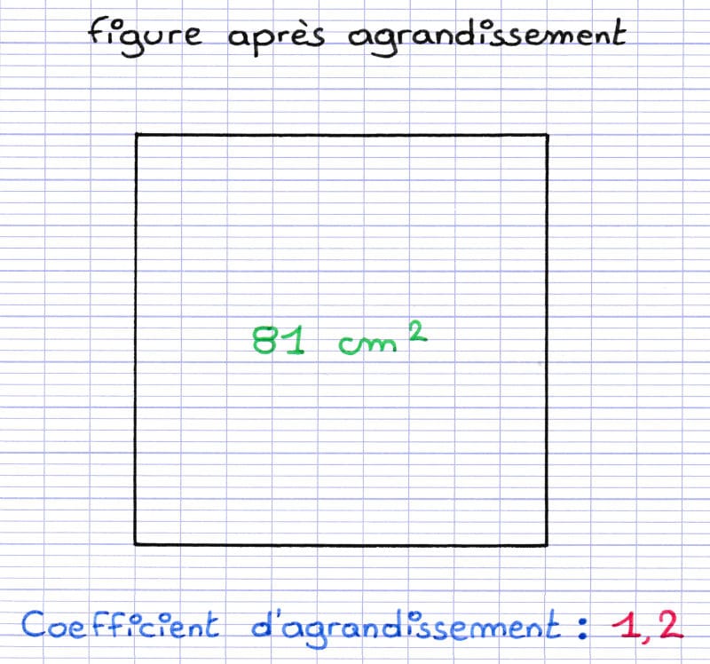 Racib Godmiche Gonflable Noir – Taille Réglable Par Gonflage, 100% Étanché & Facile à Nettoyer