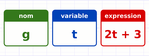 Les trois éléments d’une fonction : le nom g en vert, la variable t en bleu et l’expression 2t + 3 en rouge.
