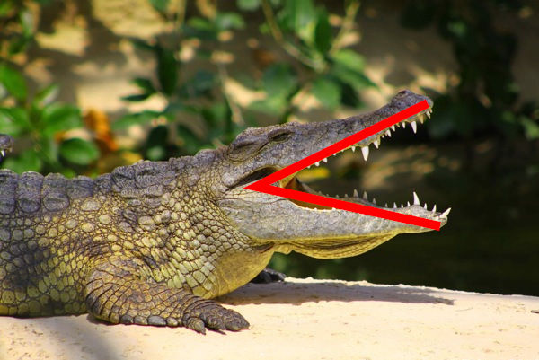 Le signe inférieur ou supérieur ressemble à une bouche de crocodile