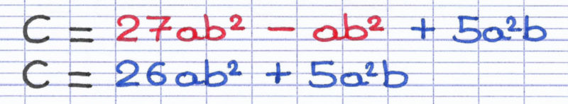 Dans l'expression littérale, on effectue la soustraction des termes de même famille